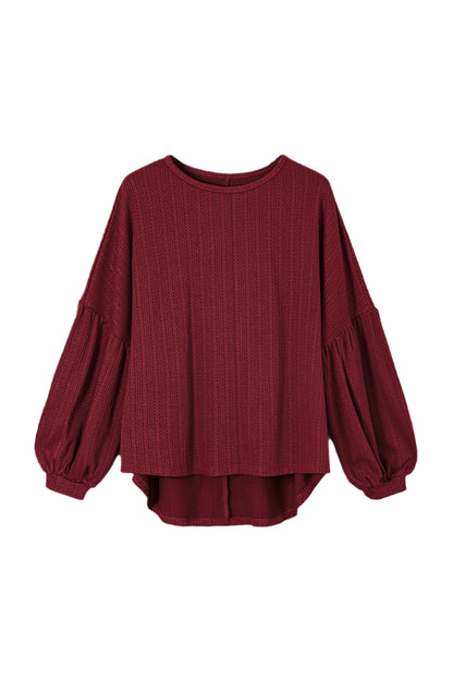 Red Dahlia Merry Christmas Graphic Jacquard Knit Curvy Top